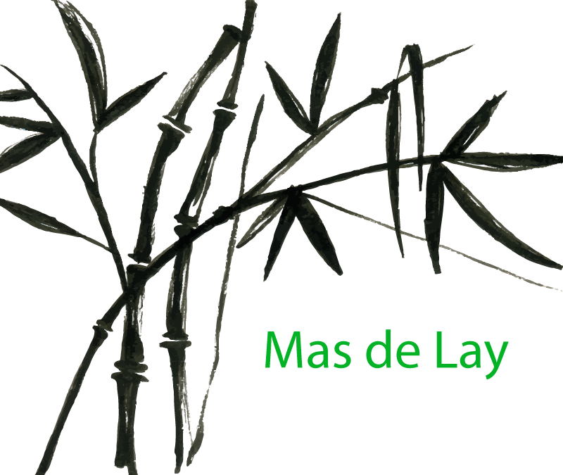 Le Mas de Lay et sa bambouseraie, dans le Gard
