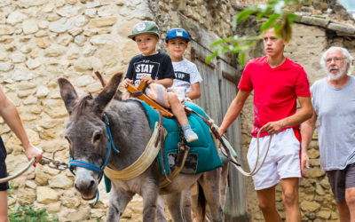 Vacances à la ferme en Occitanie