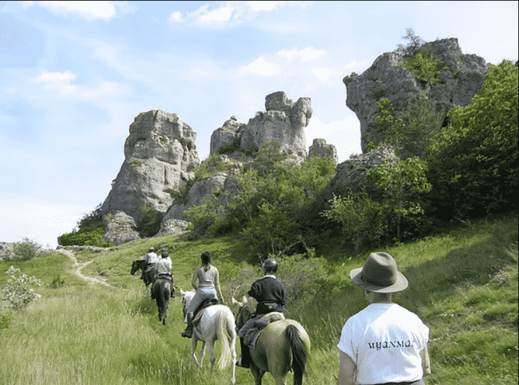 La Ferme Équestre de Vispens à Saint Affrique dans L’Aveyron