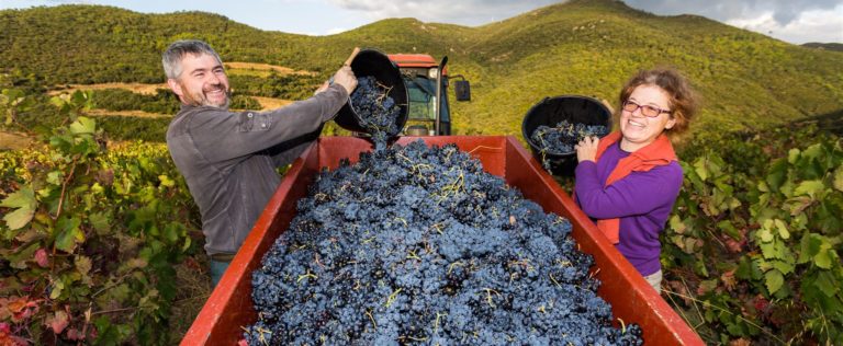 b 20201029170406.597 3841443978 768x316