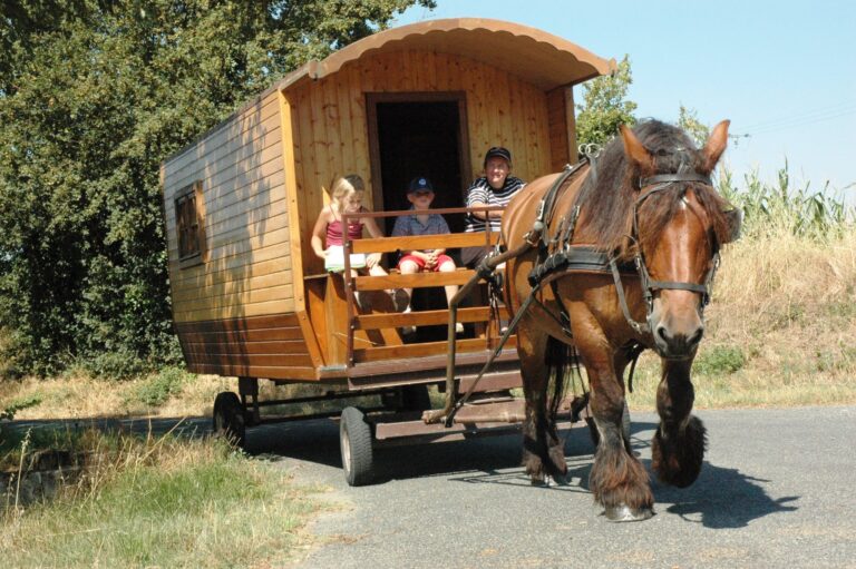 roulotte montée 768x511