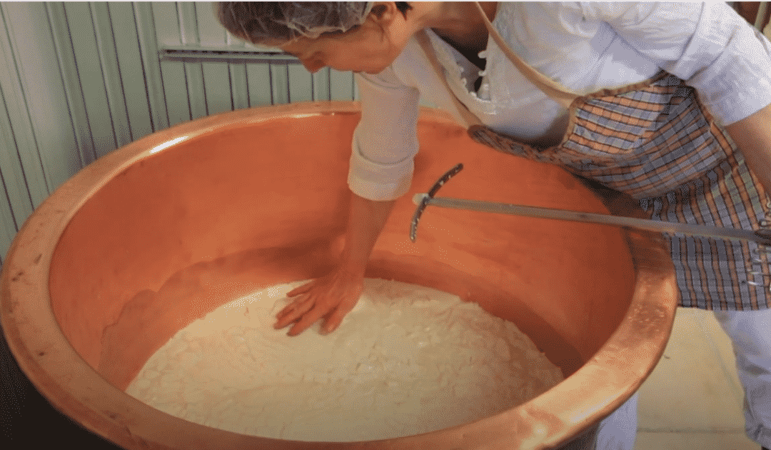 Découvrir la fromagerie de la ferme de la Borde Jean-Marie Saint-Louis-et-Parahou, dans l’Aude .