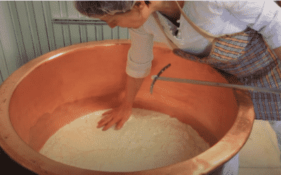 Découvrir la fromagerie de la ferme de la Borde Jean-Marie Saint-Louis-et-Parahou, dans l’Aude .