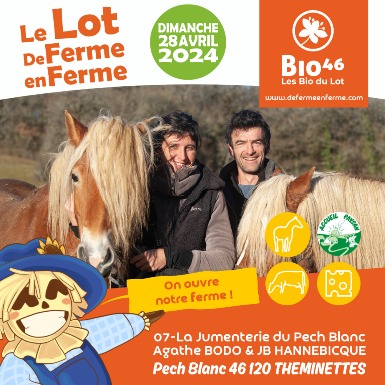 07 Jumenterie du pech blanc 768x768