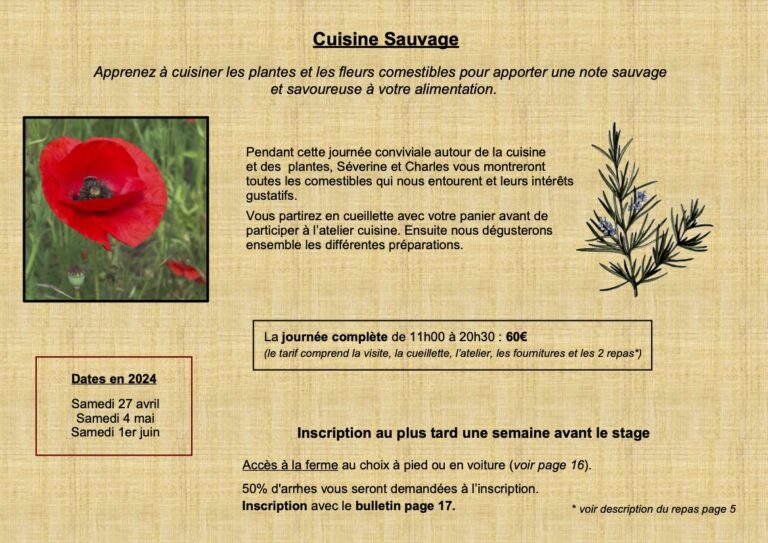 3Programme 2024 Naturellement Simples 768x543