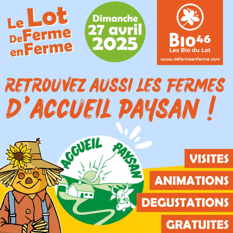 VISITES 2 768x768