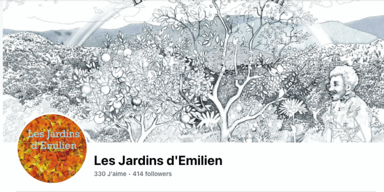 Capture decran 2025 05 15 a 13.53.06 768x385