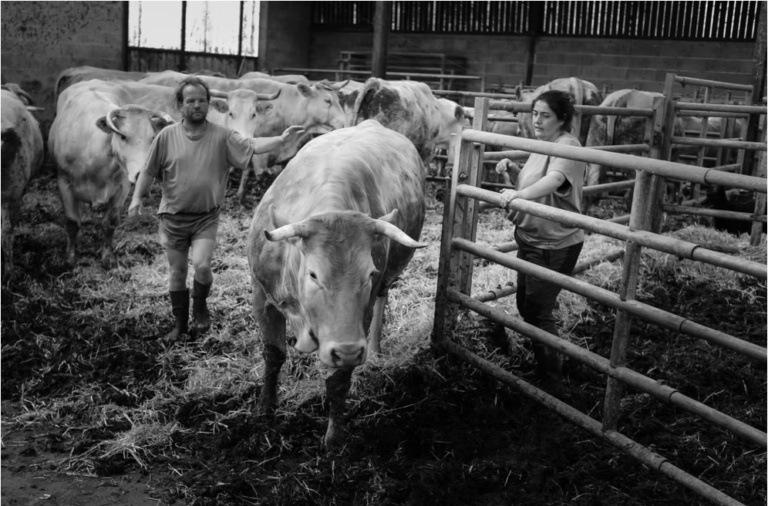 Capture decran 2025 05 22 a 11.23.00 768x506