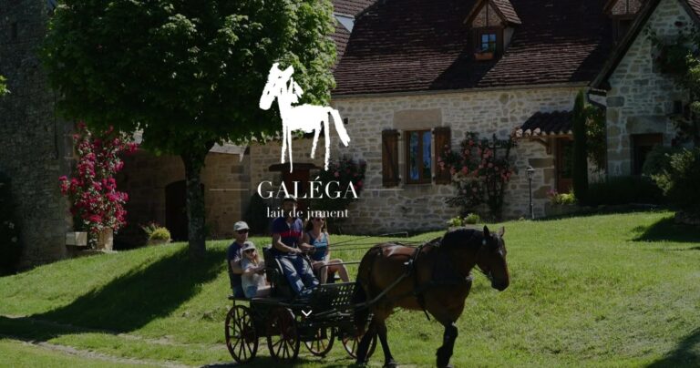 Capture decran 2025 05 22 a 11.49.42 768x404