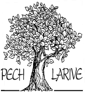 Logo arbreecriture NB 274x300