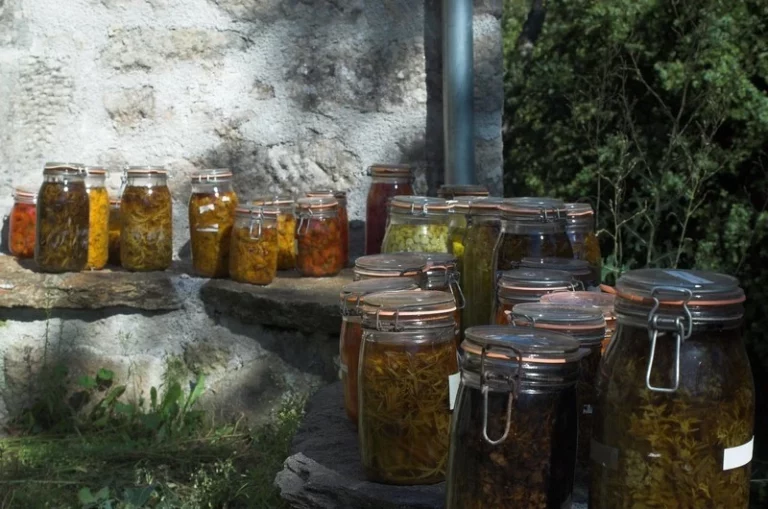 galeries 1 1317 768x509