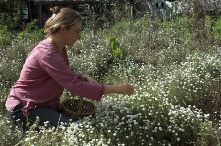 galeries 1 21 768x509
