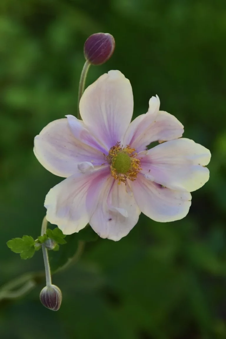 galeries 3 1684 768x1152