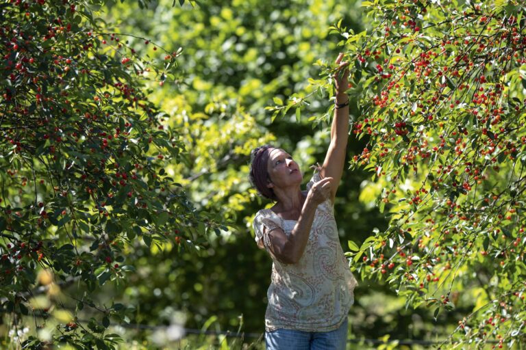 veroOXYTANIE 768x512