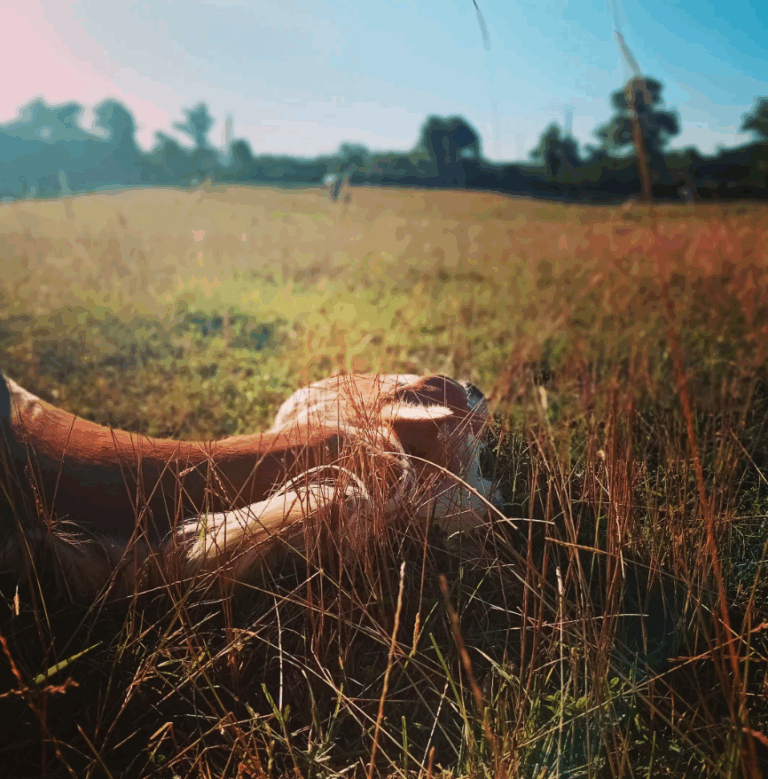 Capture decran 2025 07 10 a 17.45.11 768x779