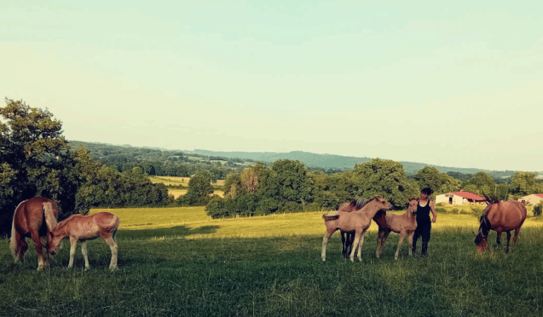 Capture decran 2025 07 10 a 17.45.27 768x449