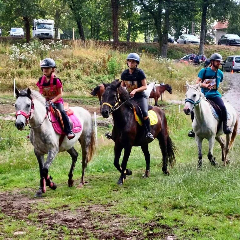 358115036 724382326363642 7487705282149385678 n 768x768