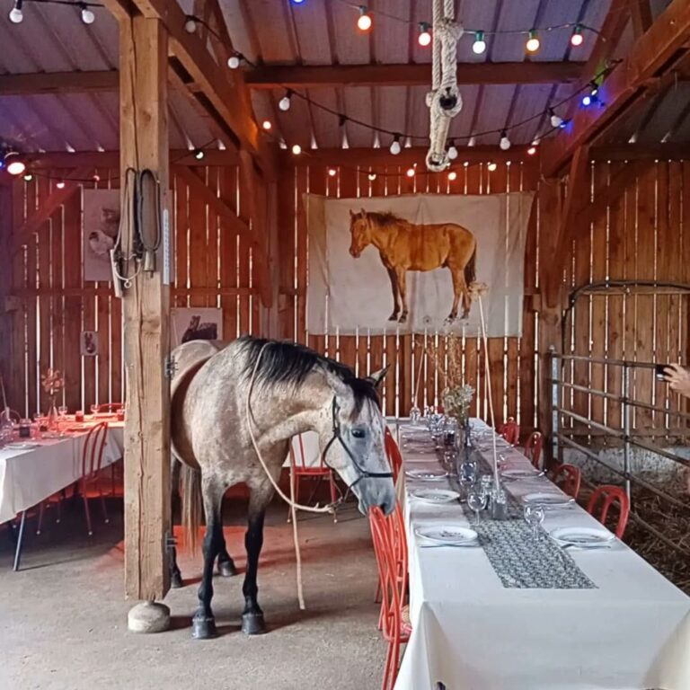 527467076 18306744217244060 8499327827532283148 n 768x768